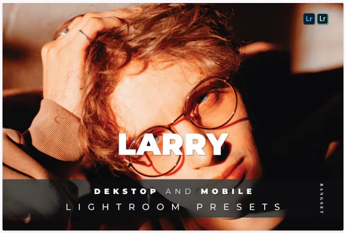 [Elements.Envato] Larry Desktop and Mobile Lightro_0.jpg